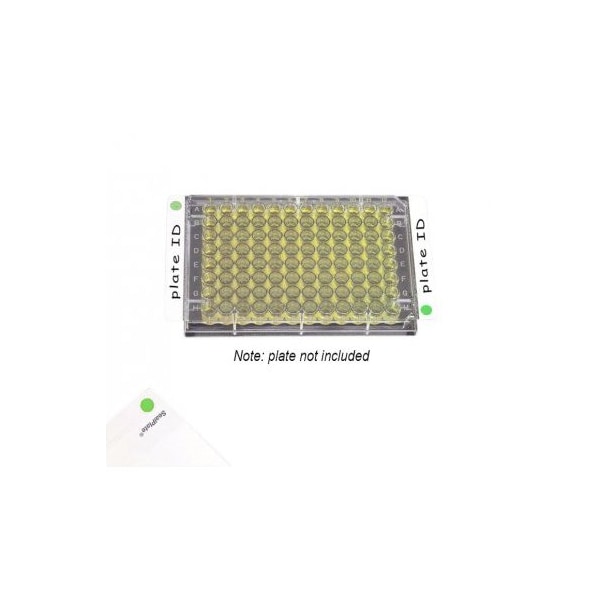 Excel Scientific SealPlate ColorTab Film, Non-Sterile, Green, 100/pk, 100PK 202527G - main